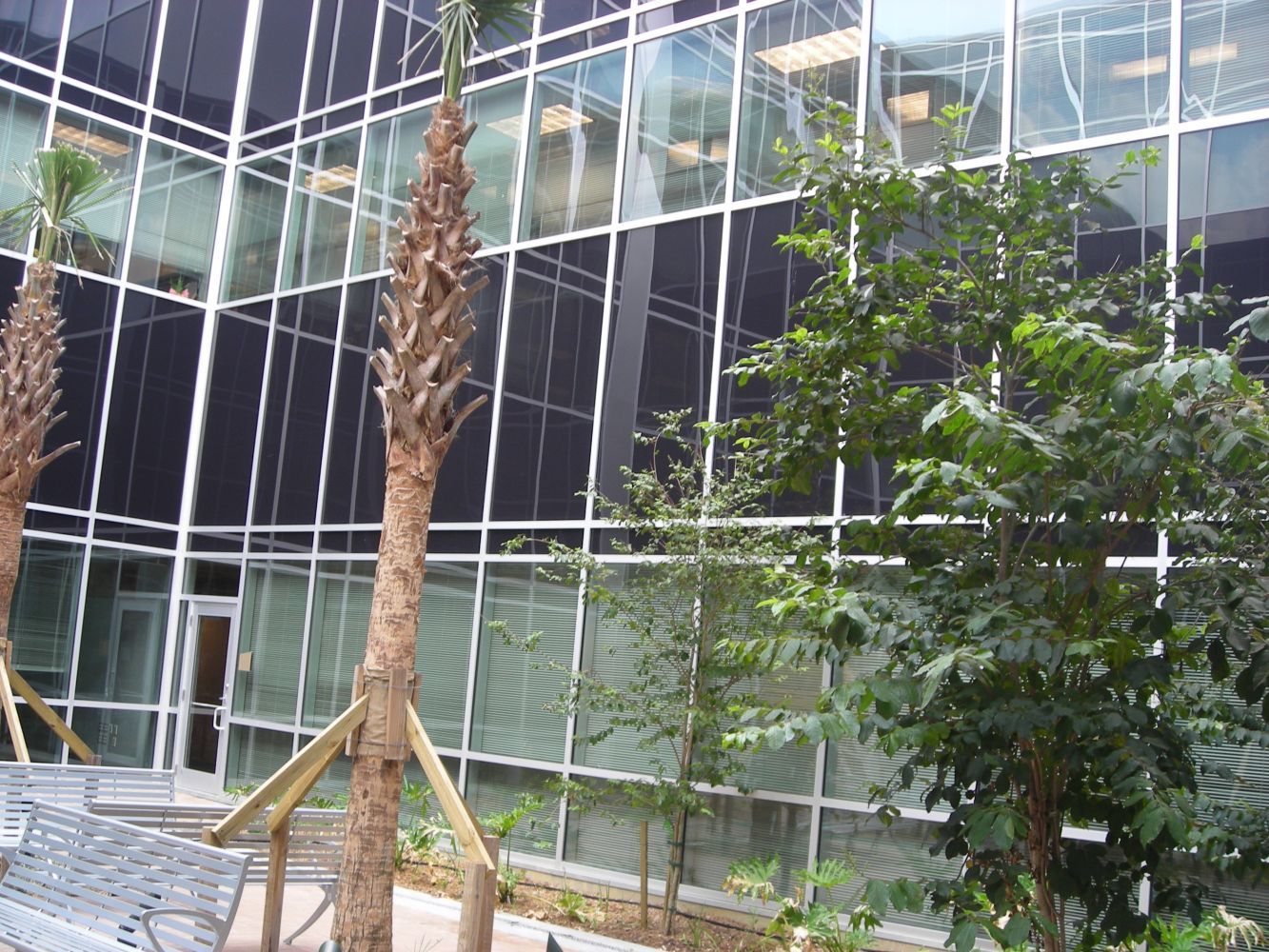 Outside View Of A Nice Glass Of A Building | Enterprise, AL | Watson Glass