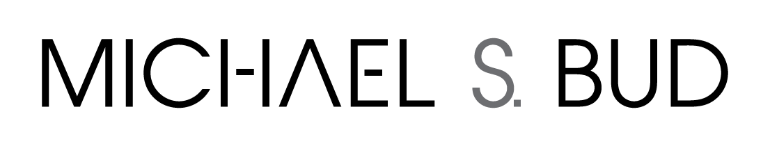 The name michael s. bud is written in black on a white background.