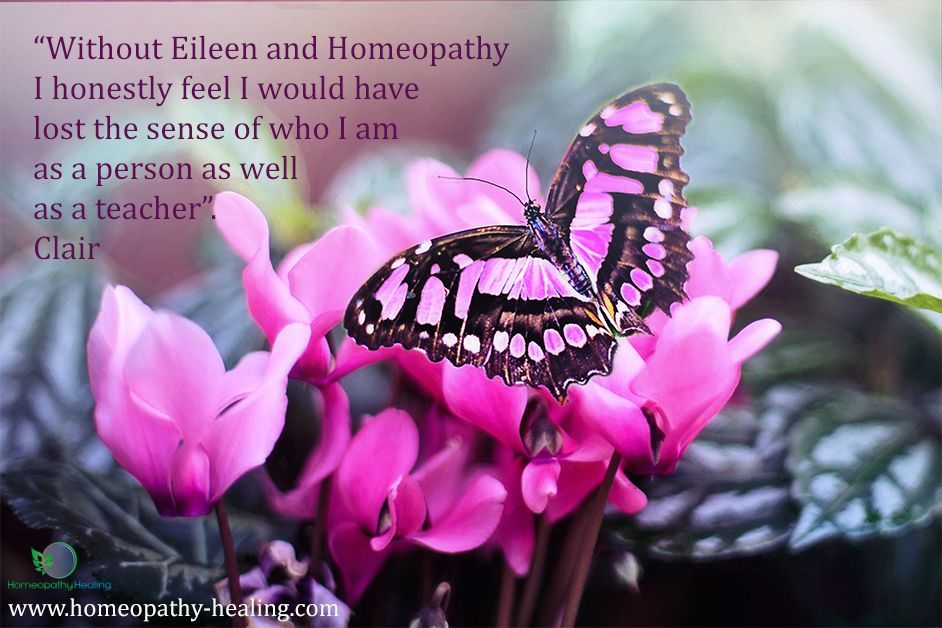 A butterfly is sitting on a pink flower with a quote from clair