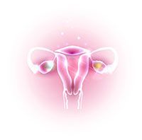 Client cases prolapse uterus
