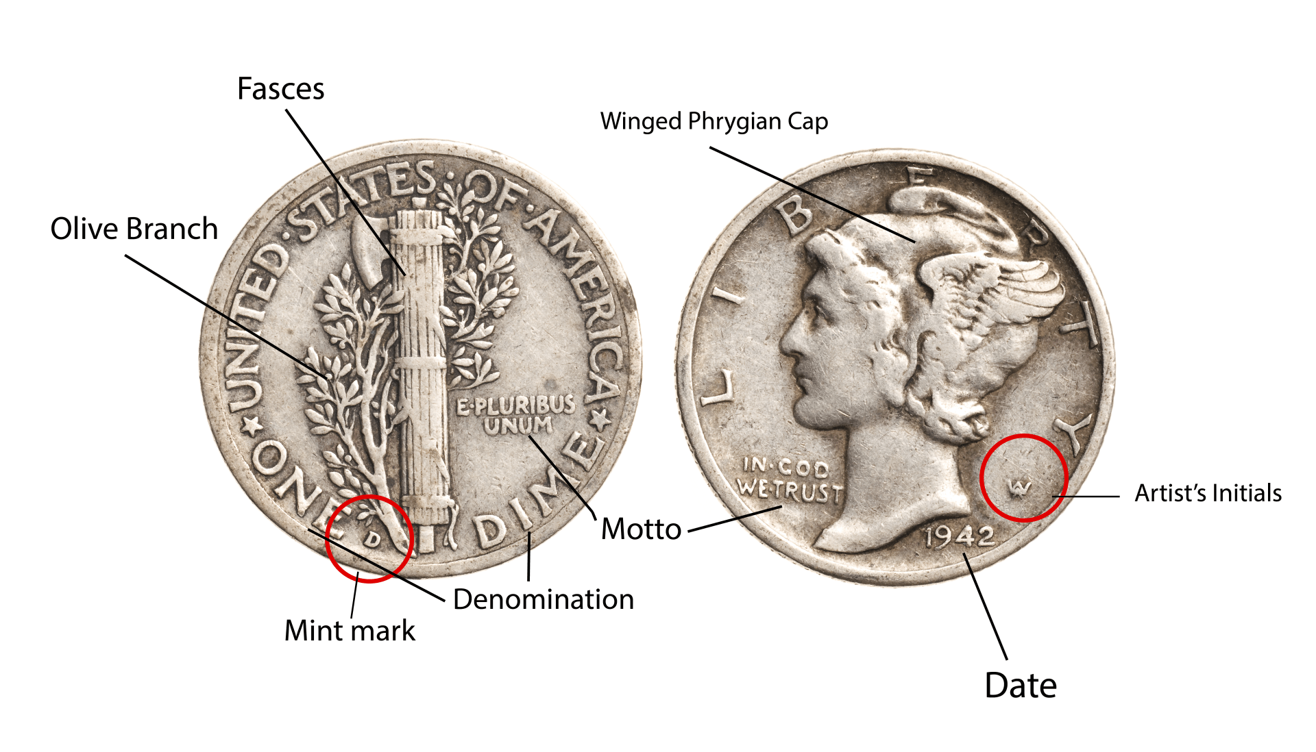 anatomy of a mercury dime