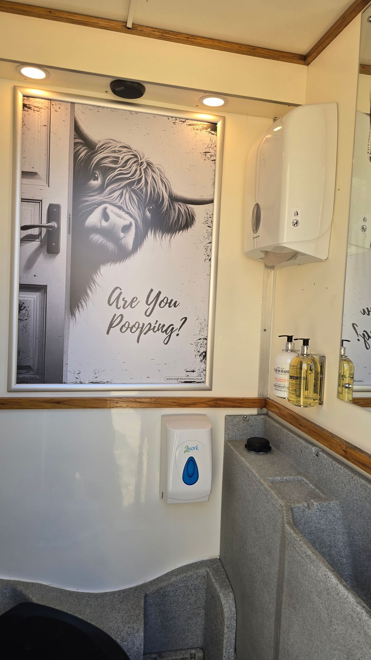 Bathroom mirror with tiger art and “Are You Reaping?” text above a gray sink counter