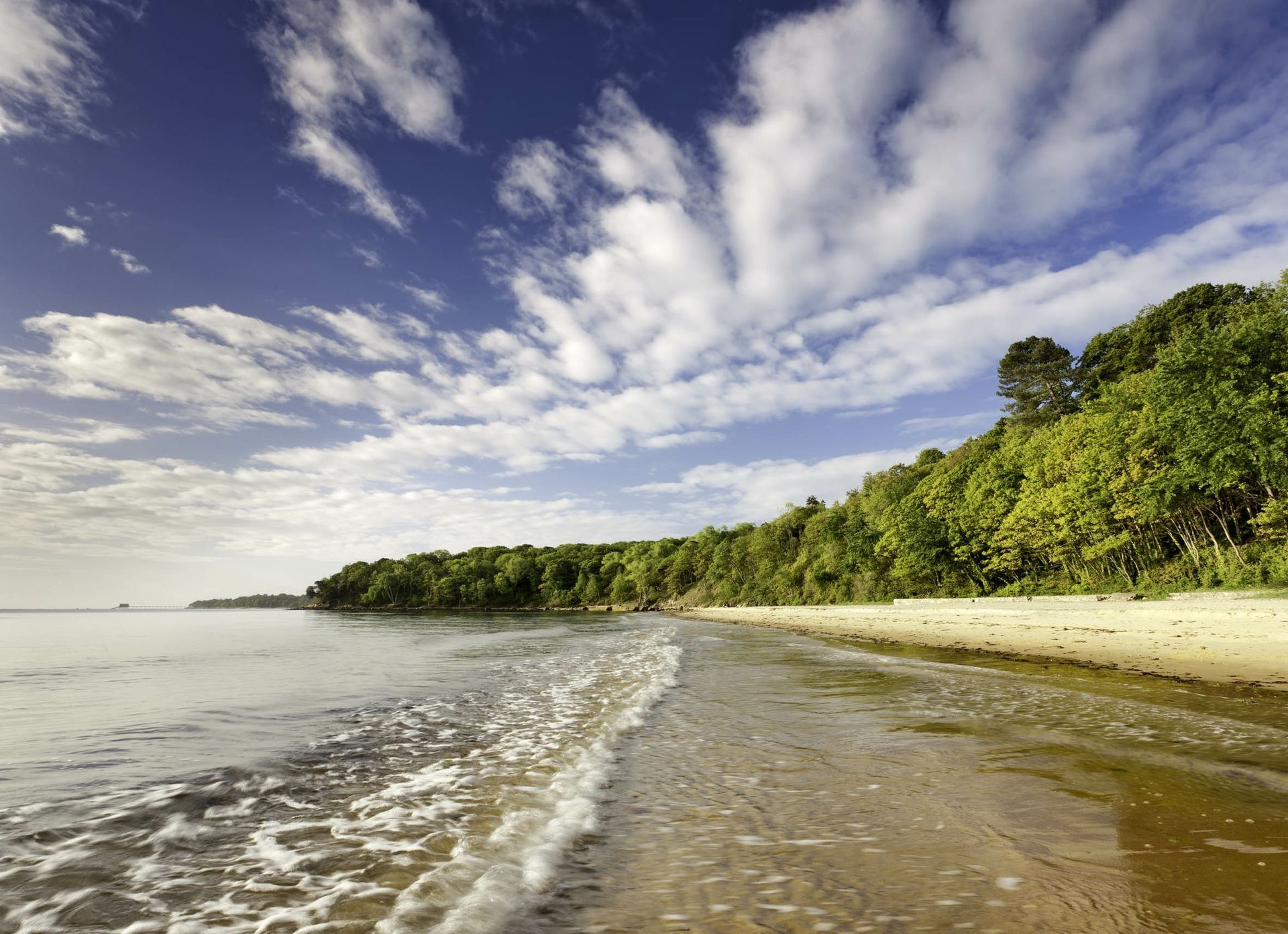 A beach with trees on the shore and a blue sky with clouds