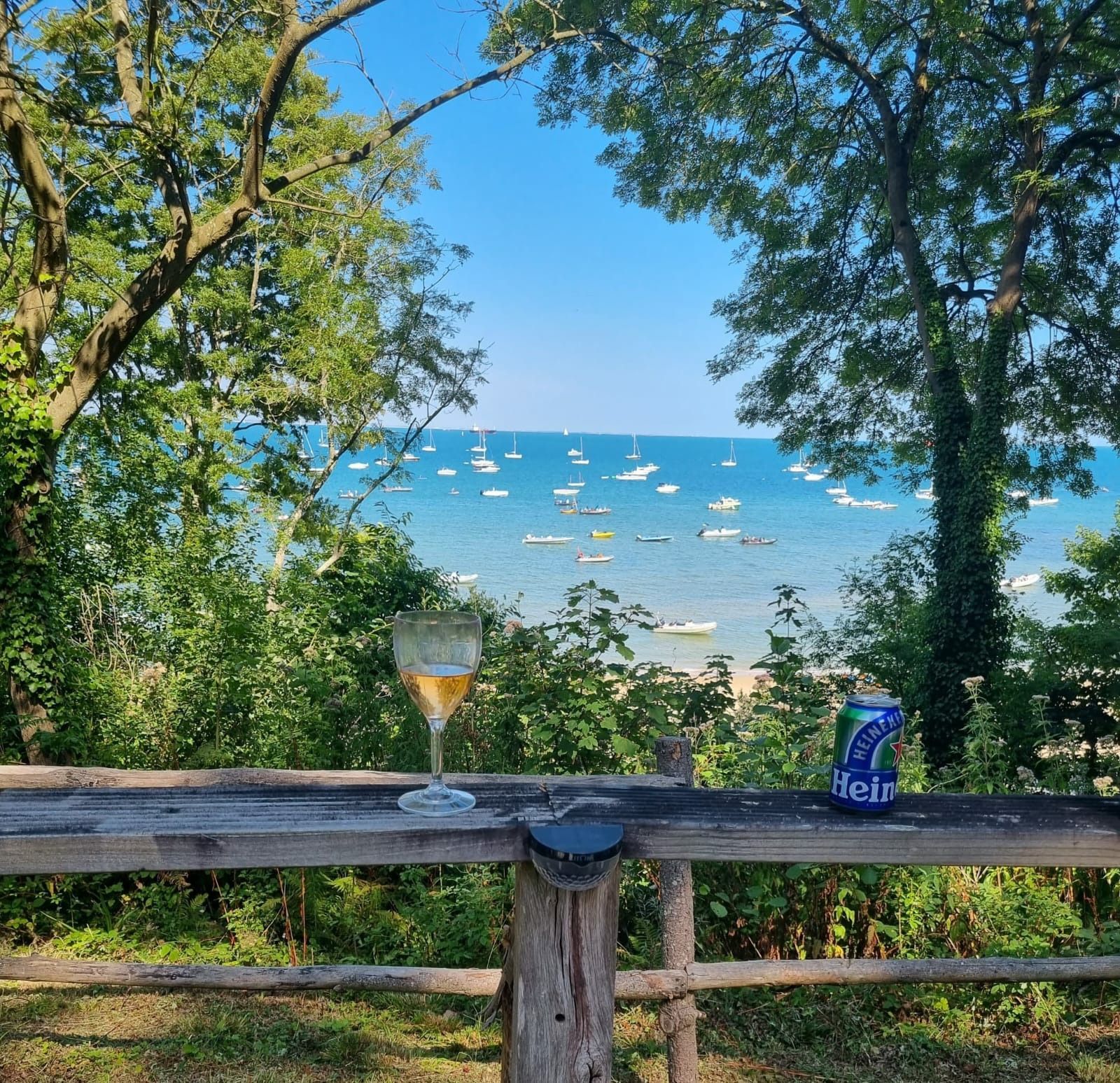 A can of diet coke sits on a wooden bench overlooking the ocean
