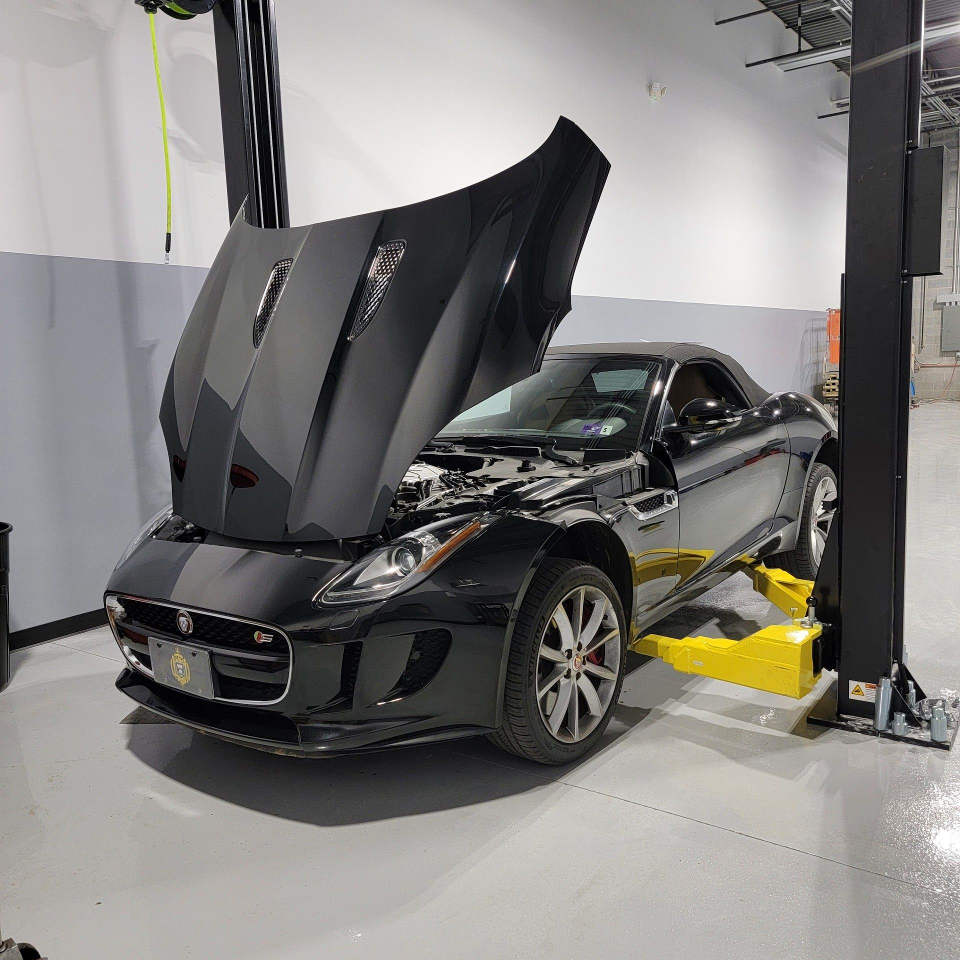 European Vehicle Service On Lift | Premier Autowerks