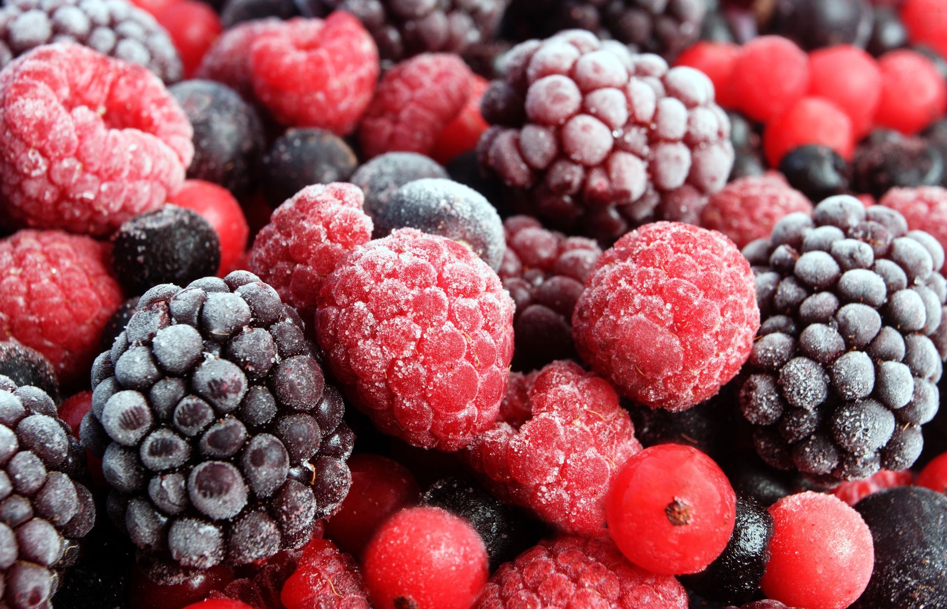Primo piano di un mix di frutti di bosco congelati: lamponi, more, mirtilli e ribes rossi, ricoperti di brina.