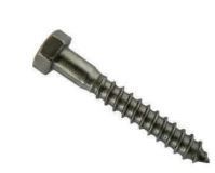 A close up of a screw on a white background.