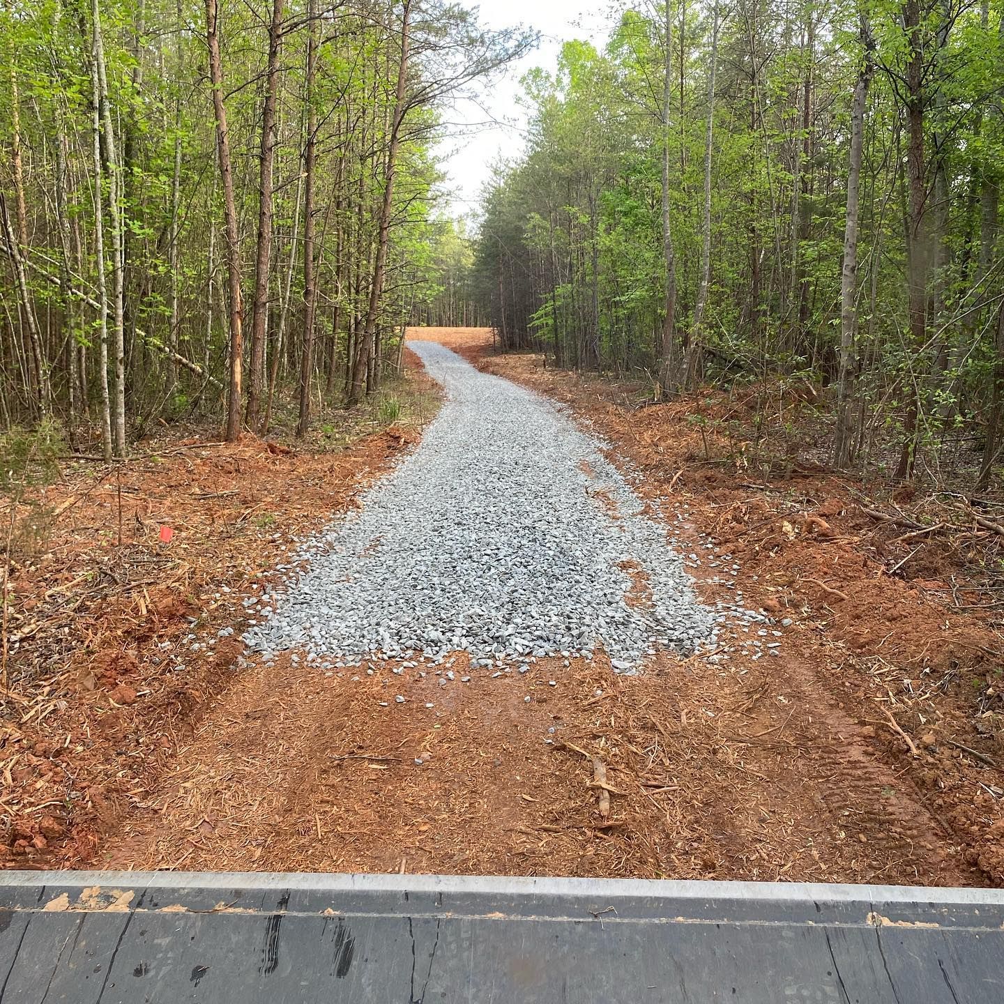 Gravel trail through a wooded forest, with a paved road edge in the foreground.