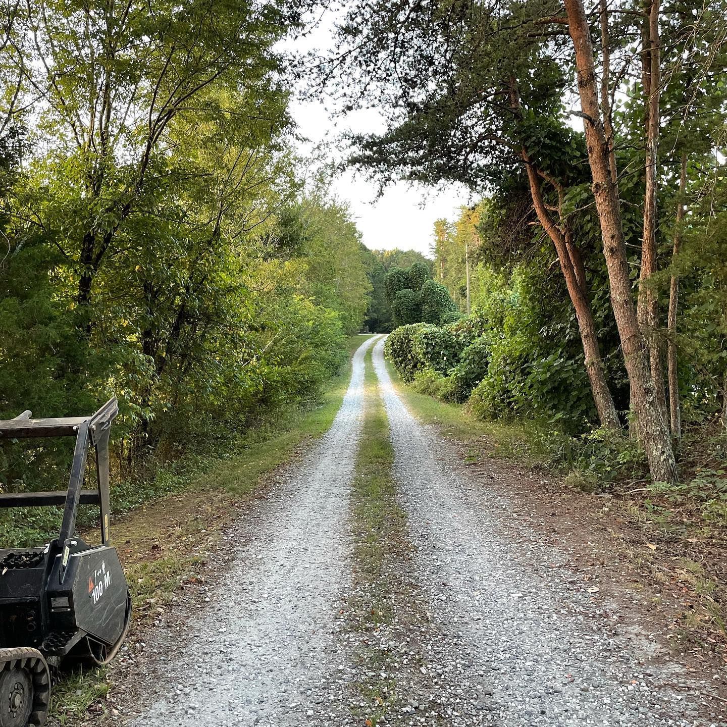 Gravel road winding through dense green trees in a wooded area