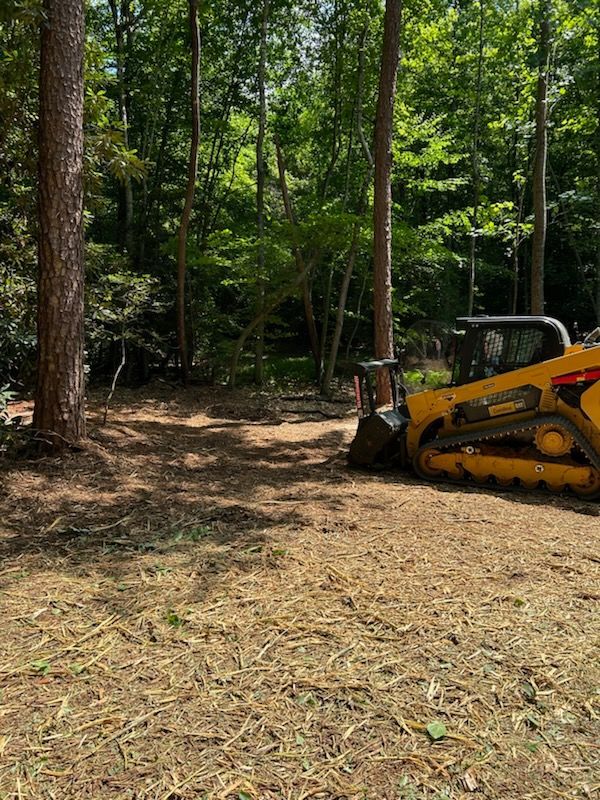 Yellow skid steer in a wooded clearing with tree stumps and dirt ground