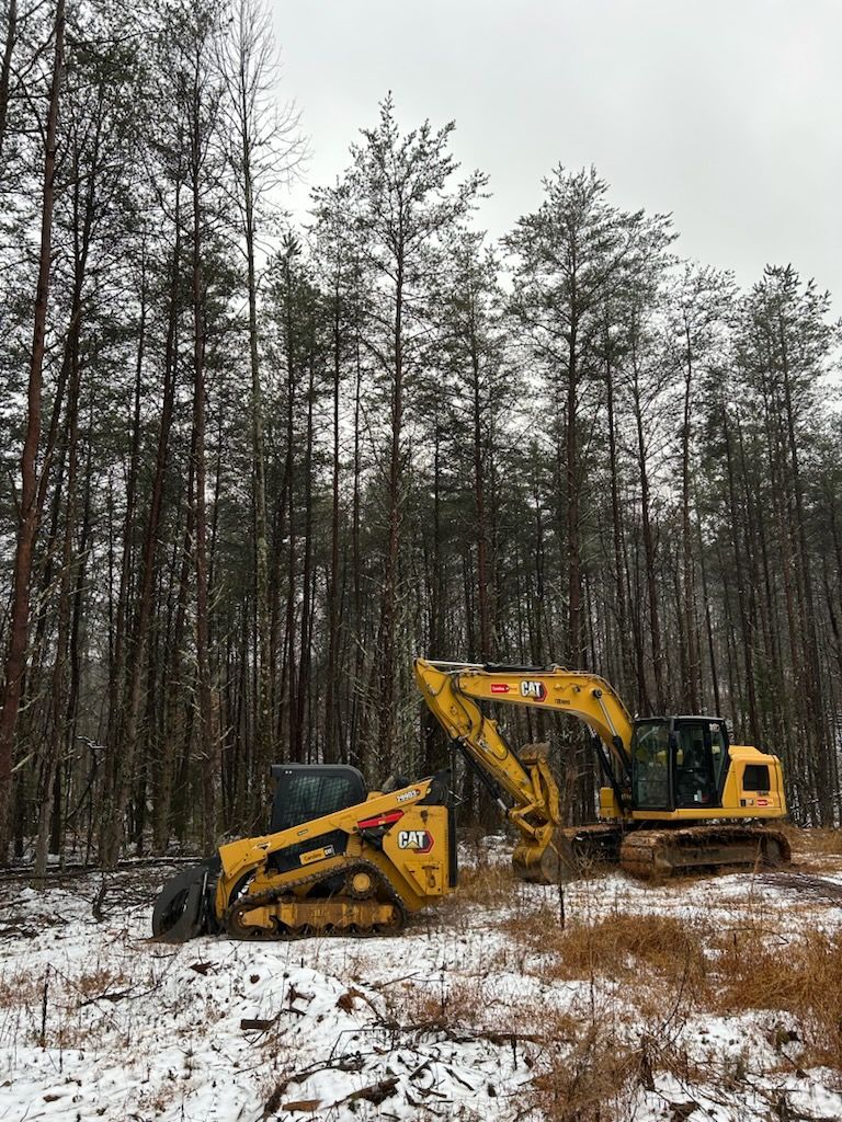 Yellow excavators and a tracked loader in a snowy pine forest clearing