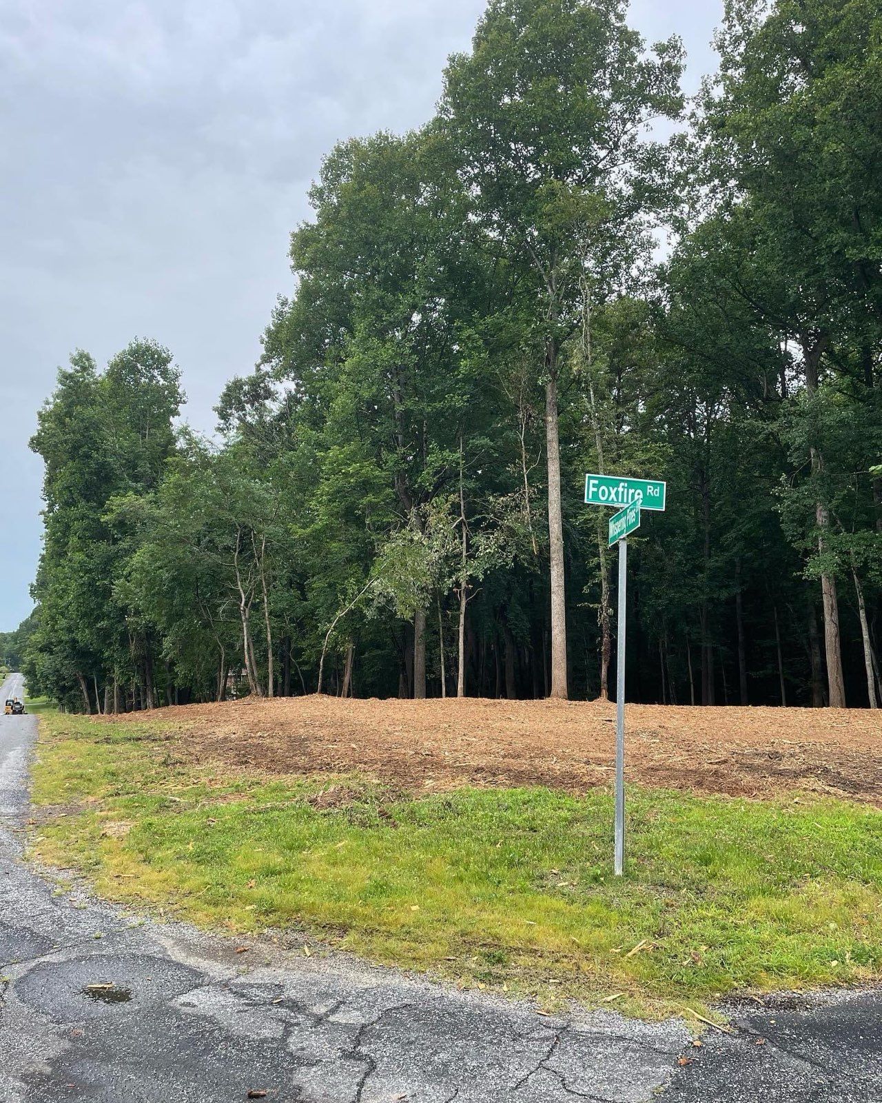 Gravel roadside beside a forest clearing with a green street sign on a metal pole.
