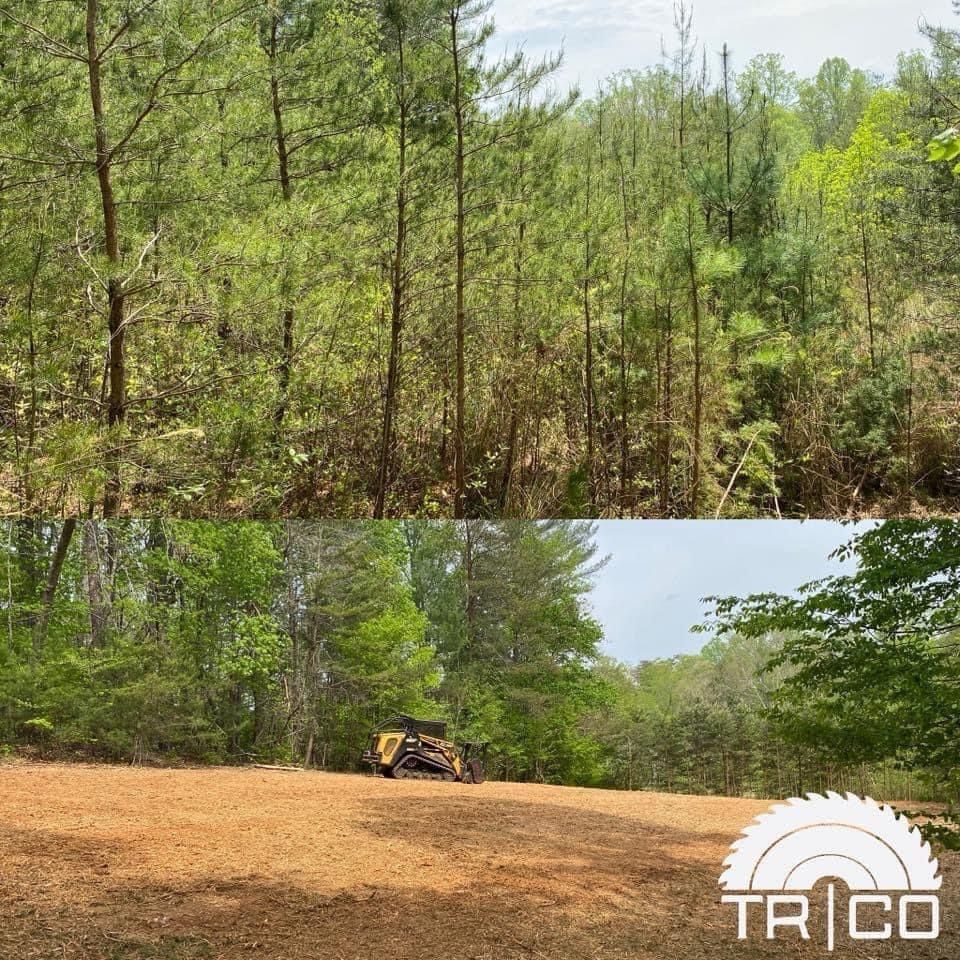 Forest clearing before and after land grading, with trees around a freshly leveled dirt area and excavator