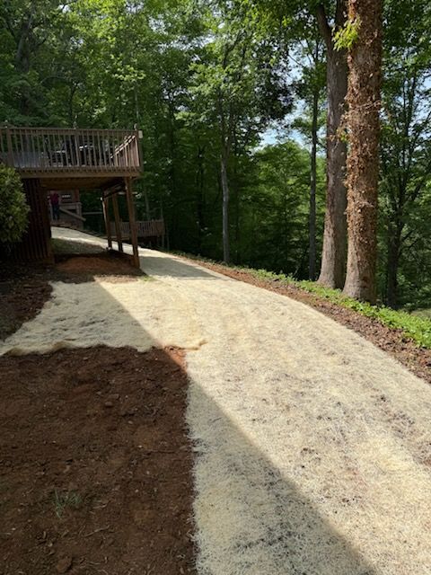 Wooded gravel path beside a wooden deck, with sunlight and trees on both sides.