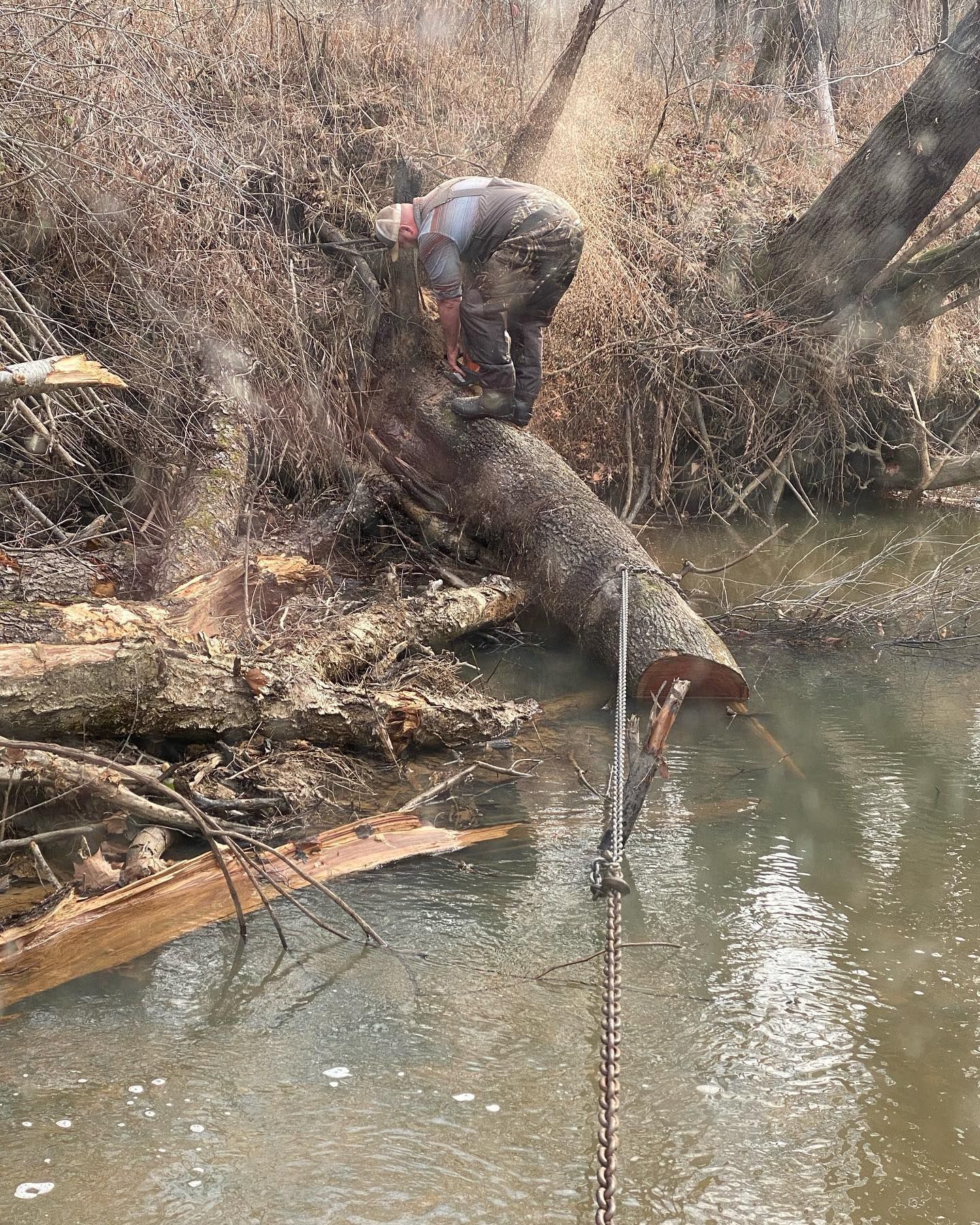 Person crouches on a fallen tree over a creek, handling a chain or rope in a wooded area.
