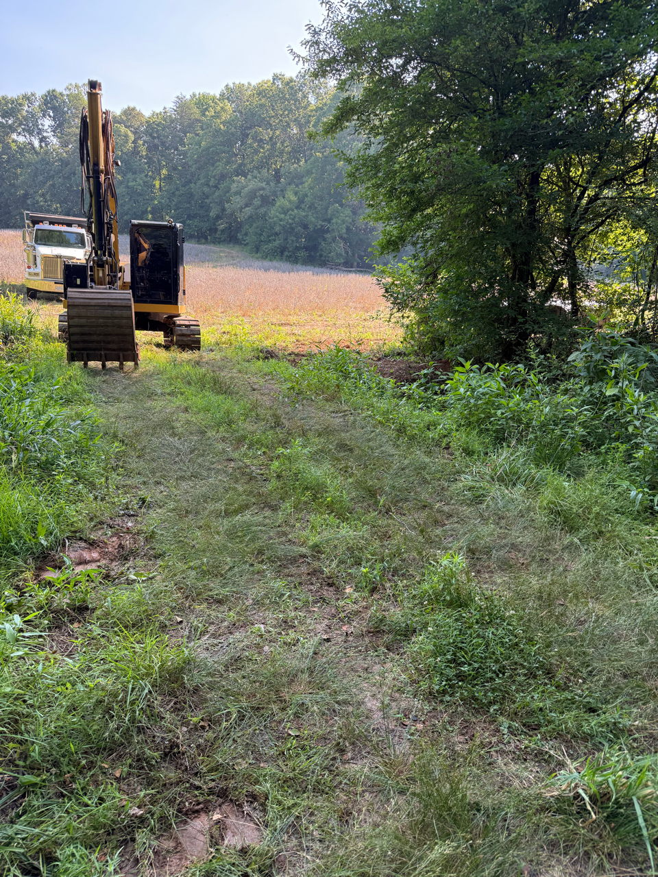 Excavator beside a grassy path at the edge of a wooded field on a sunny day