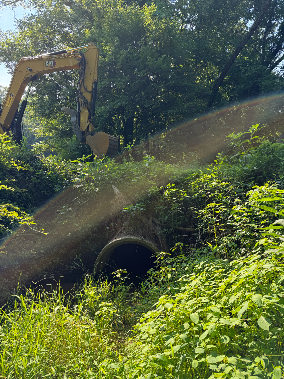 Excavator on a steep, leafy embankment above a concrete culvert, spraying dirt in sunlight