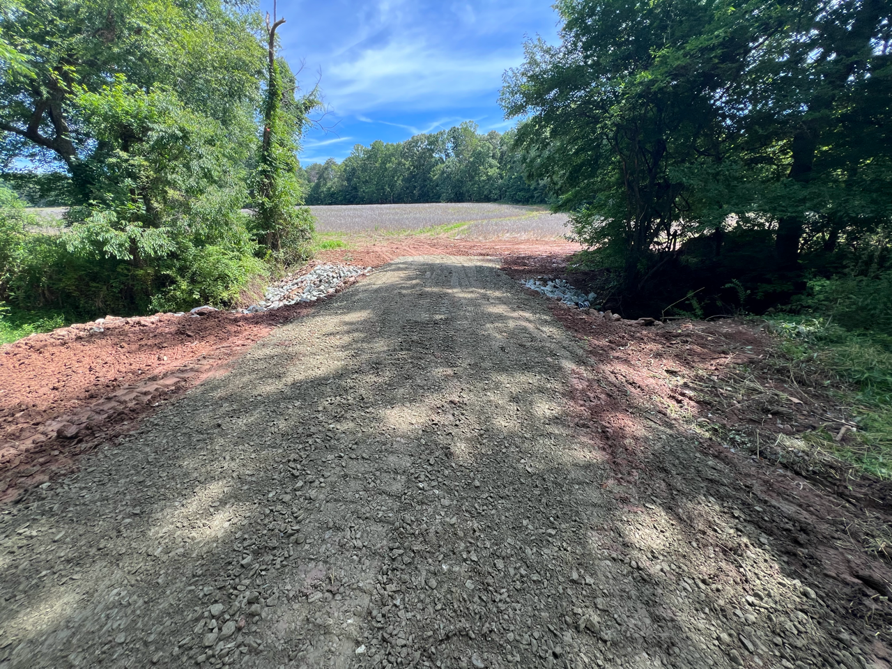 Dirt path leading toward an open field, framed by green trees under a bright blue sky.