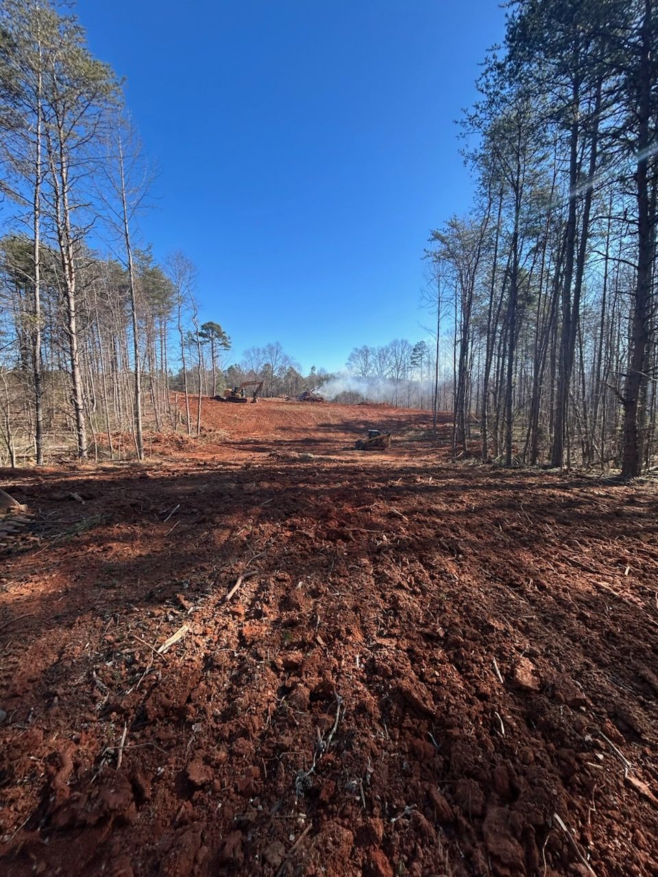 Dirt road clearing through leafless trees under a bright blue sky