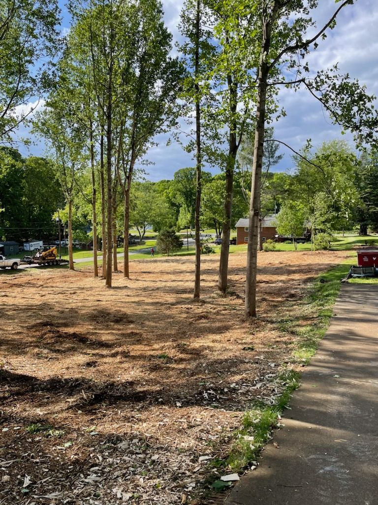 Park with young trees, mulched ground, sidewalk, and parked cars under a partly cloudy sky