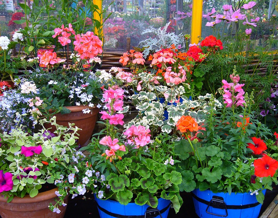 Displaying Plants At Greece, NY Funeral Homes