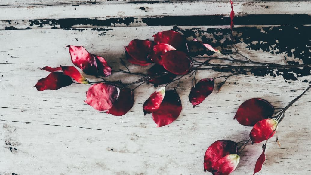 Tips To Avoid Common Mistakes With Greece, NY Cremation Services