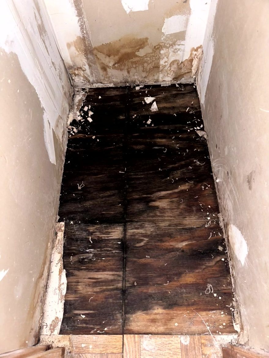 A narrow hallway with severely water-damaged, dark, rotting wooden flooring and stained, crumbling wall plaster.
