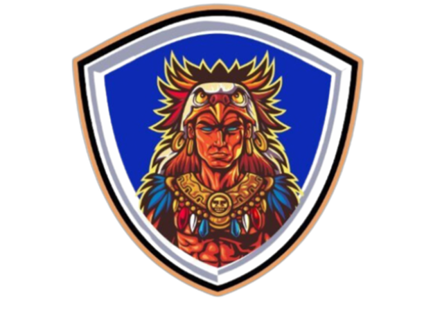 A shield with a native american on it