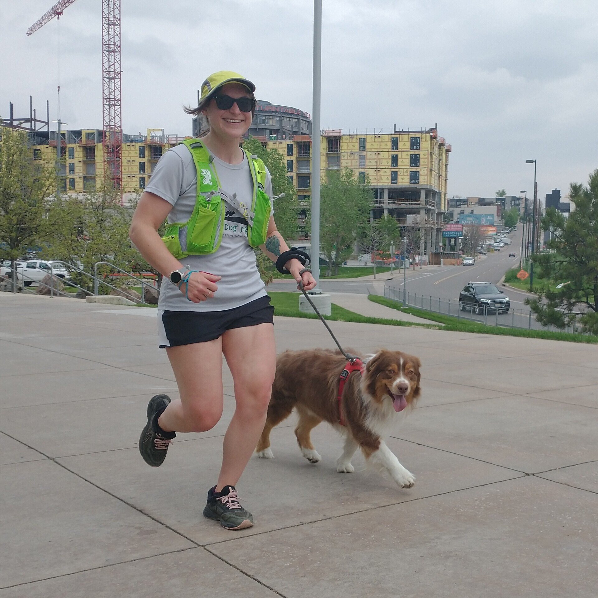 Dog Walkers Denver Denver Dog Joggers