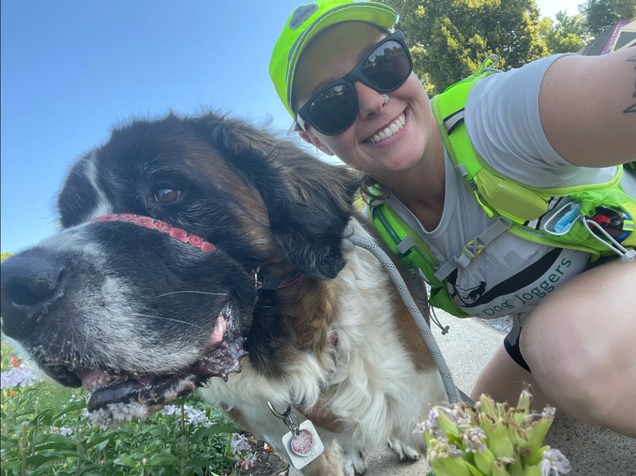 Dog Walkers Denver Denver Dog Joggers