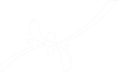 Disegno astratto a linee delicate di un fiore stilizzato con steli e petali curvi su sfondo bianco.