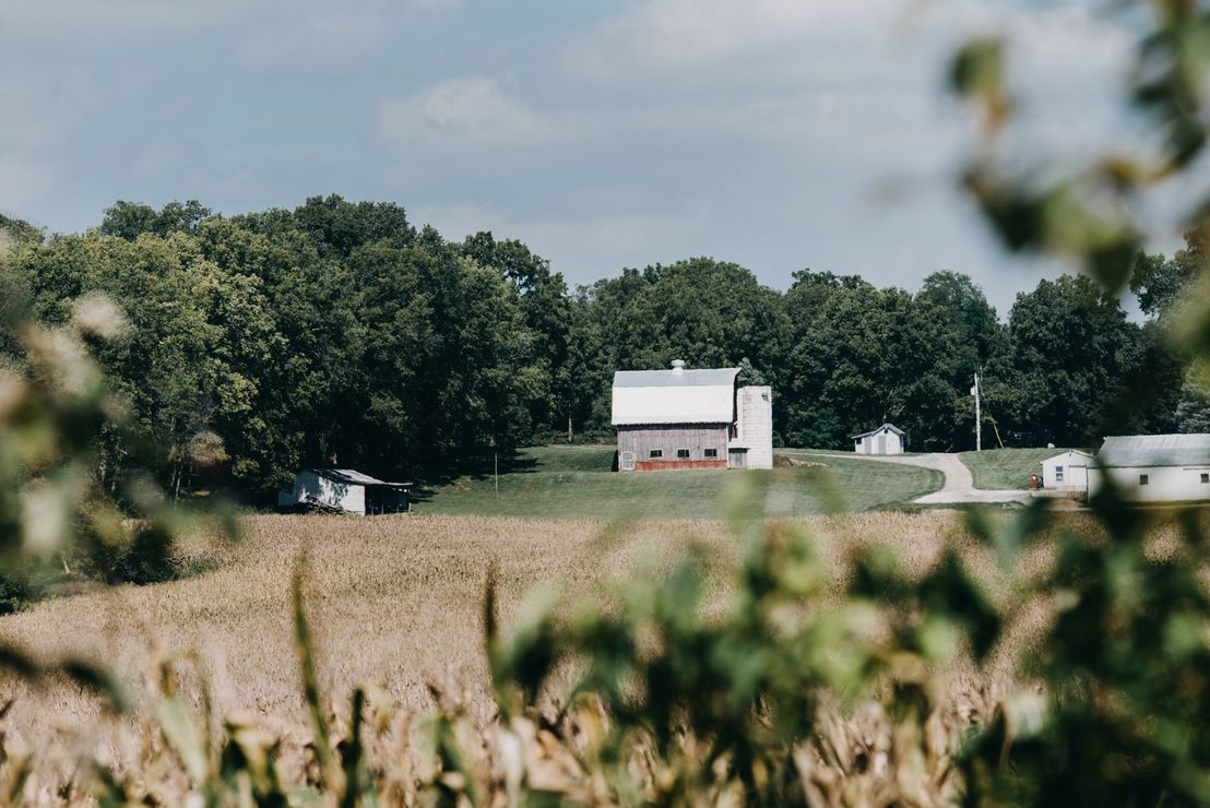 White barn in a rural field with trees in the background and blurred plants in the foreground