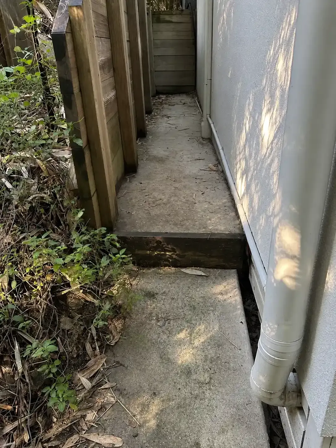Leaf-covered concrete side path before pressure cleaning in Mansfield, Brisbane