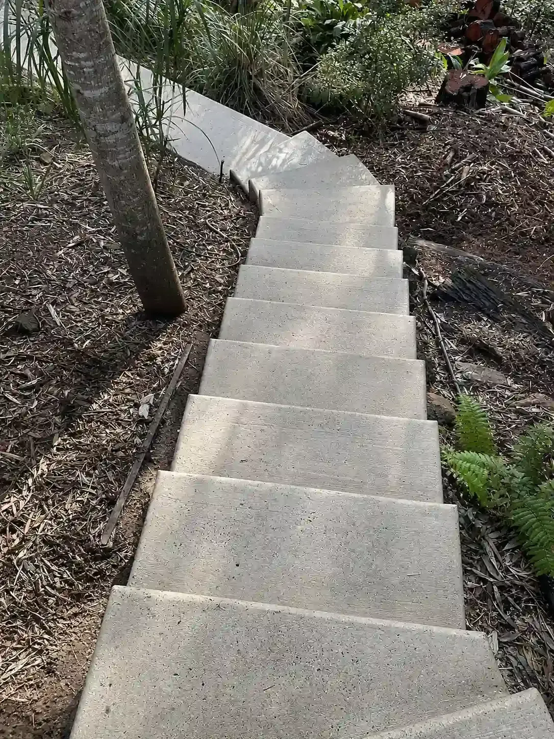 Concrete garden steps after moss removal in Eight Mile Plains, Brisbane