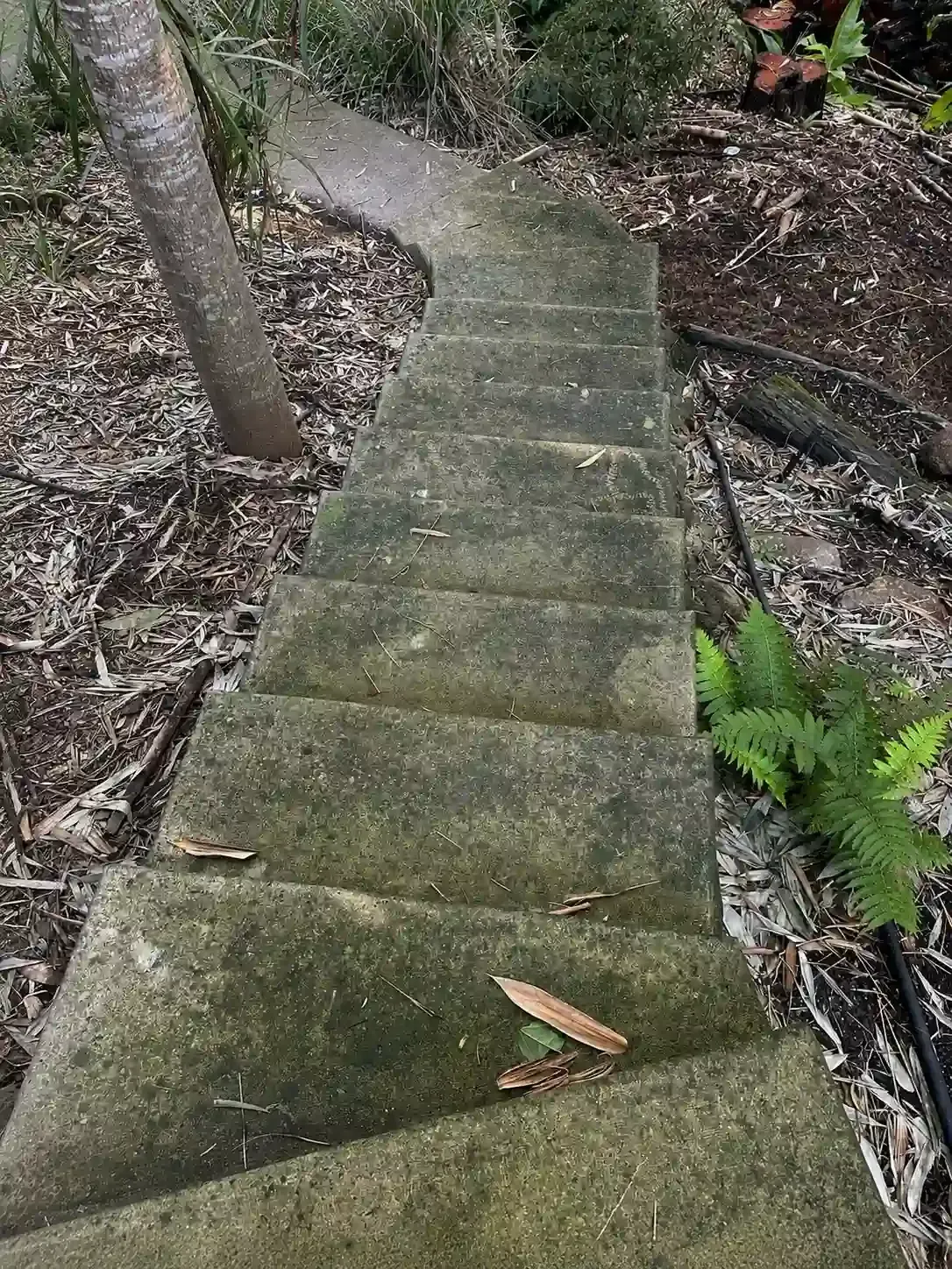 Concrete garden steps before moss removal in Eight Mile Plains, Brisbane