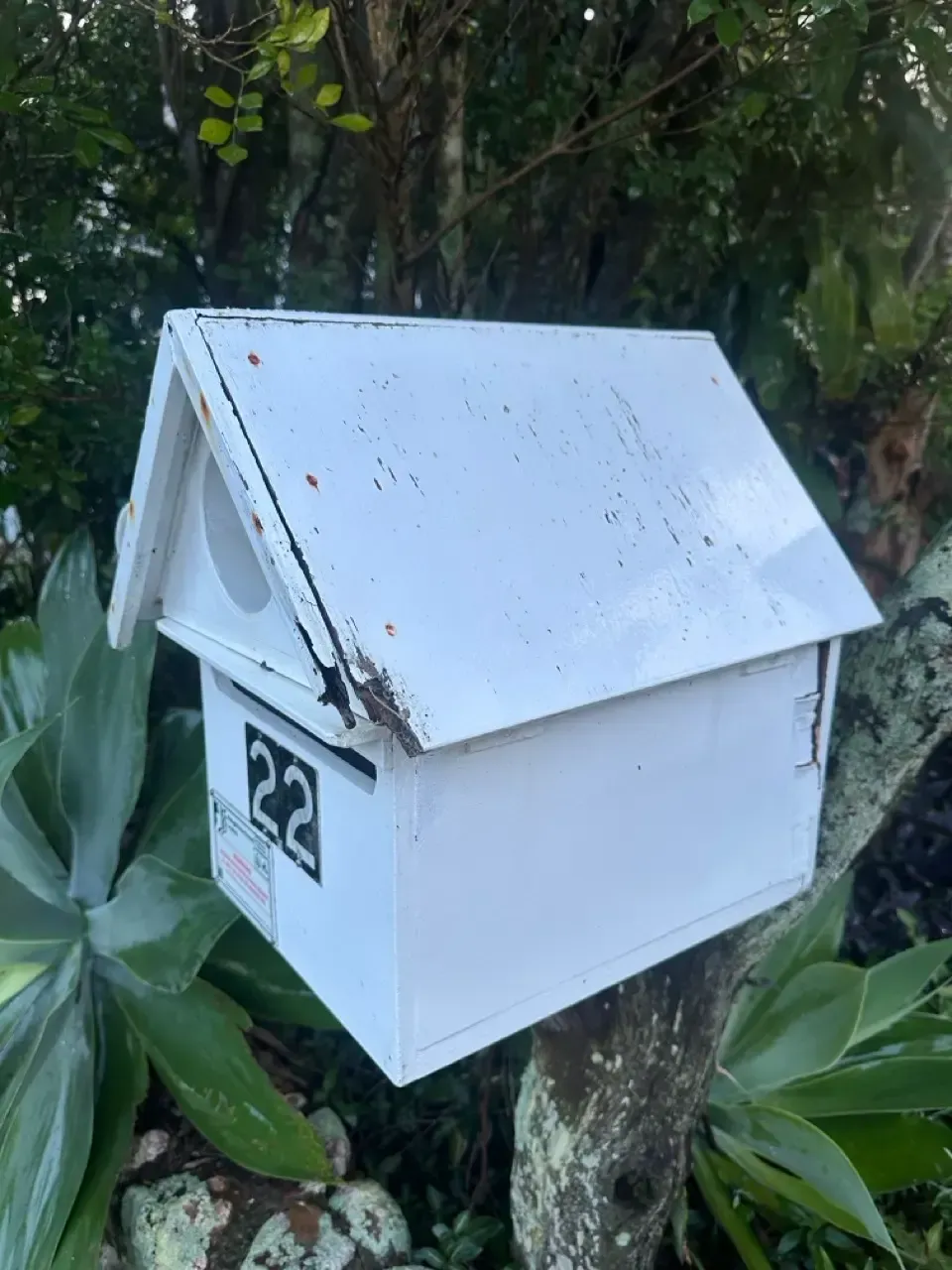 White timber letterbox after cleaning in Tarragindi, Brisbane