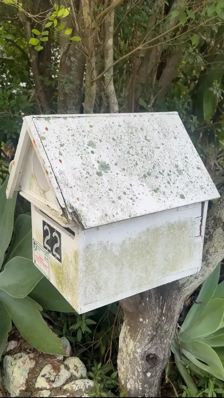 Mould and lichen covered white letterbox before cleaning in Tarragindi, Brisbane