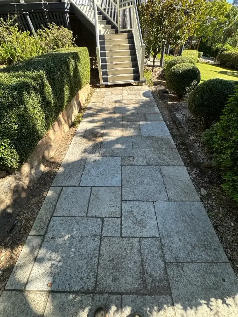 Algae-stained stone paver path before cleaning in Holland Park, Brisbane