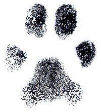 paw print