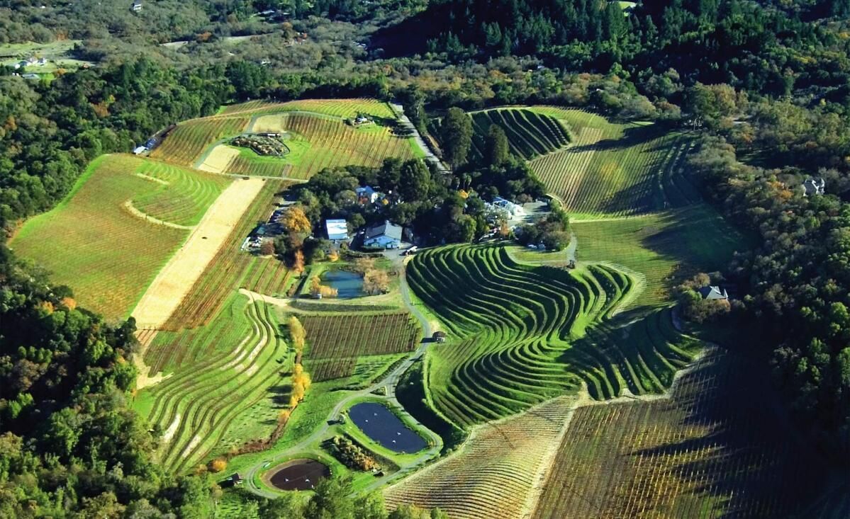 Aerial view of a vineyard with terraced slopes, ponds, buildings, and surrounding trees.