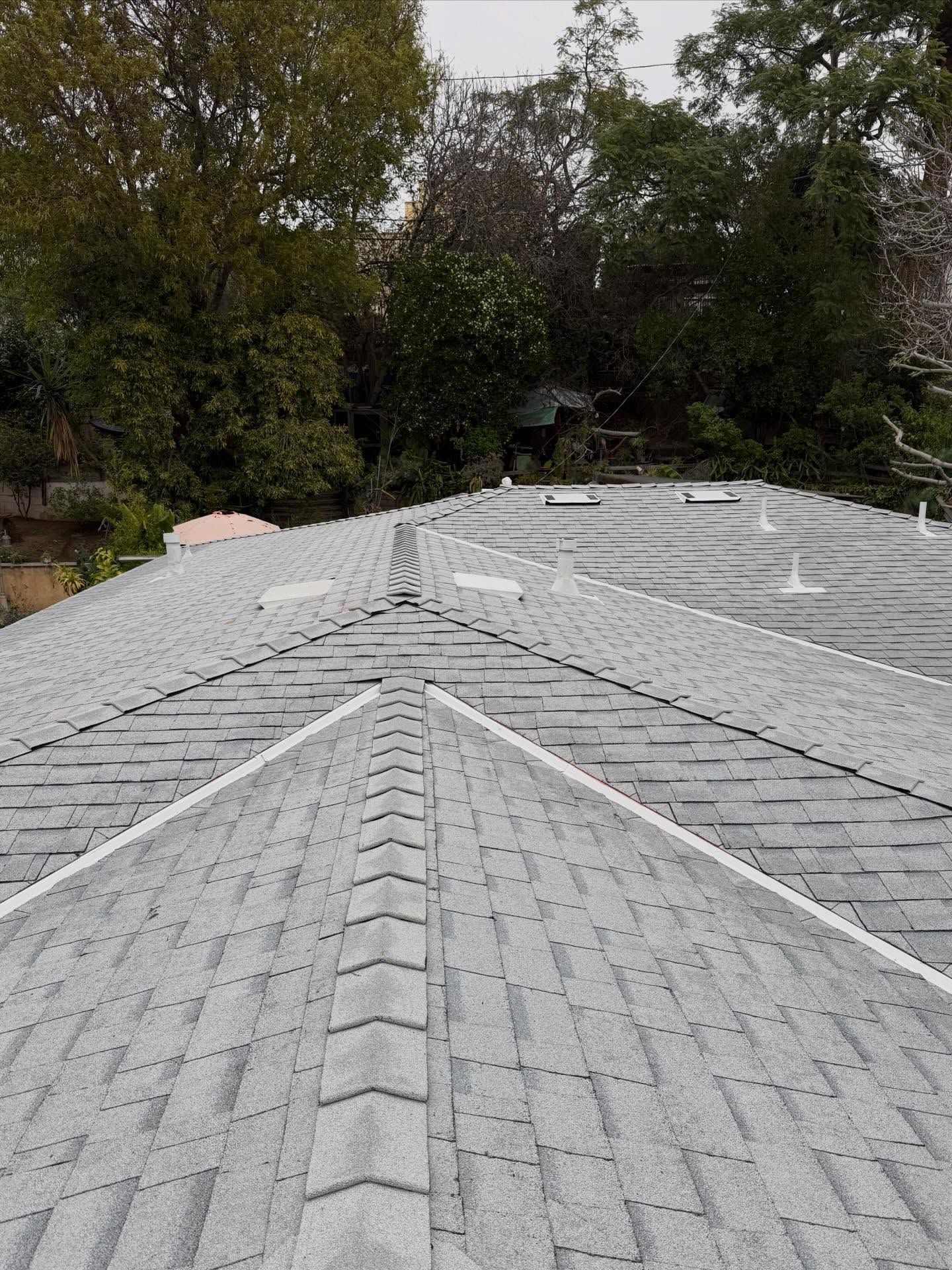 Gray shingled roof with ridge vents, surrounded by trees under an overcast sky