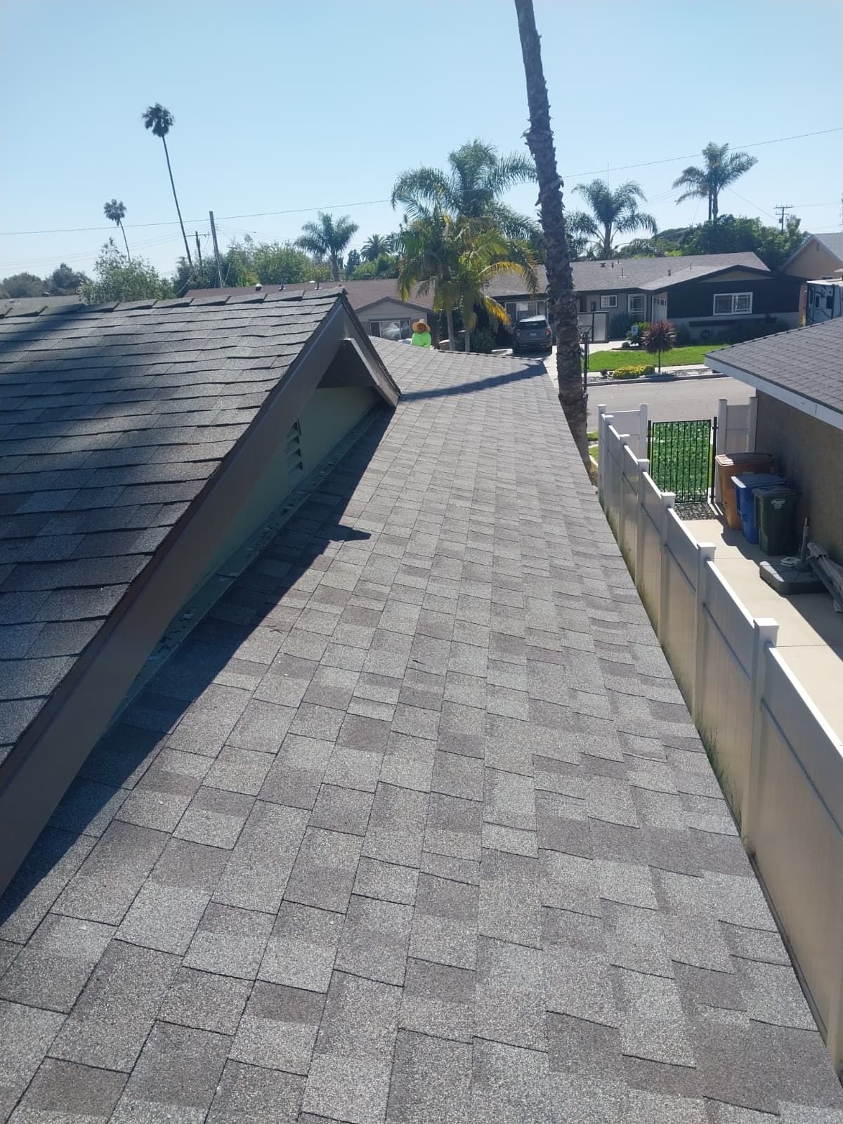 Rooftop walkway with gray shingles, palm trees, and houses in bright sunlight