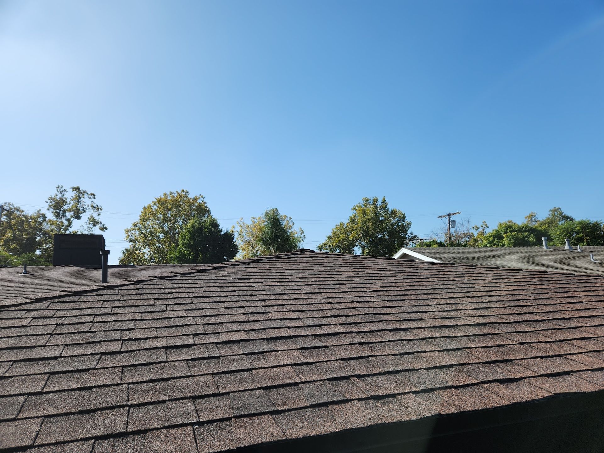Rooftop with brown shingles under a clear blue sky, trees visible along the horizon.