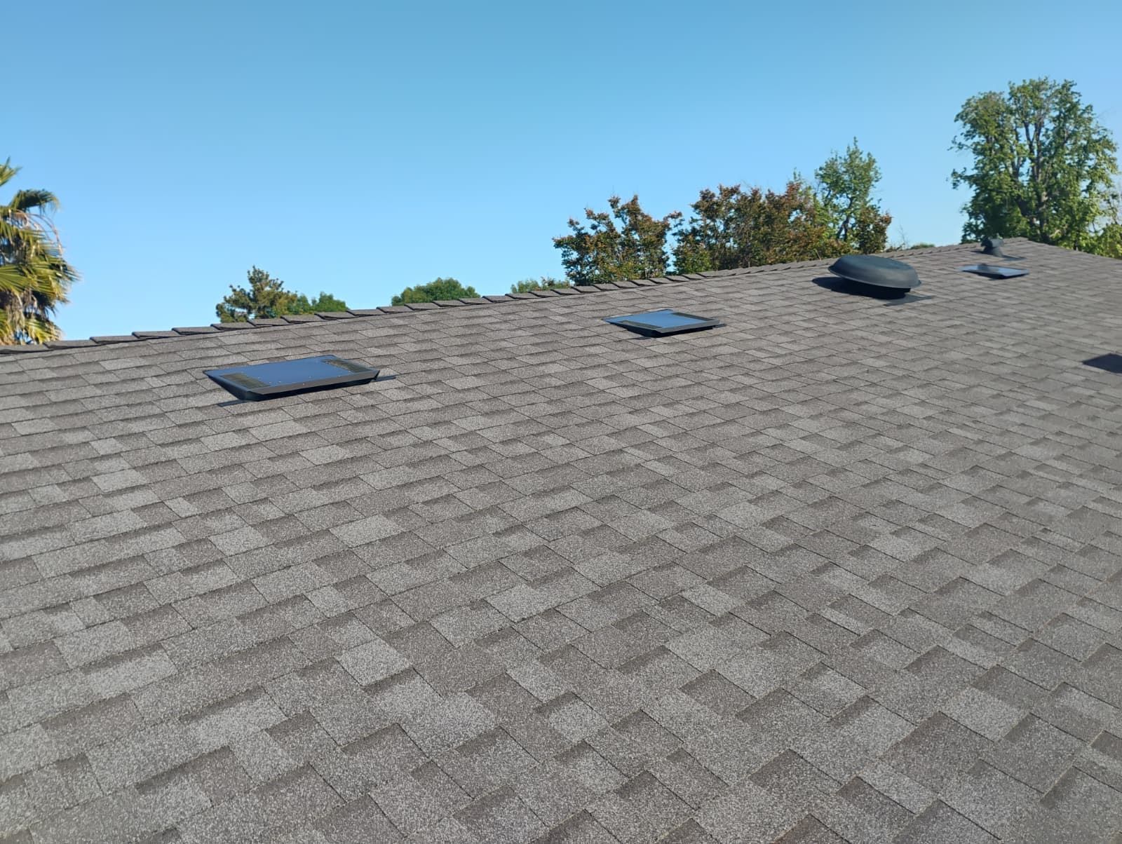 Shingled roof with three skylights under a clear blue sky