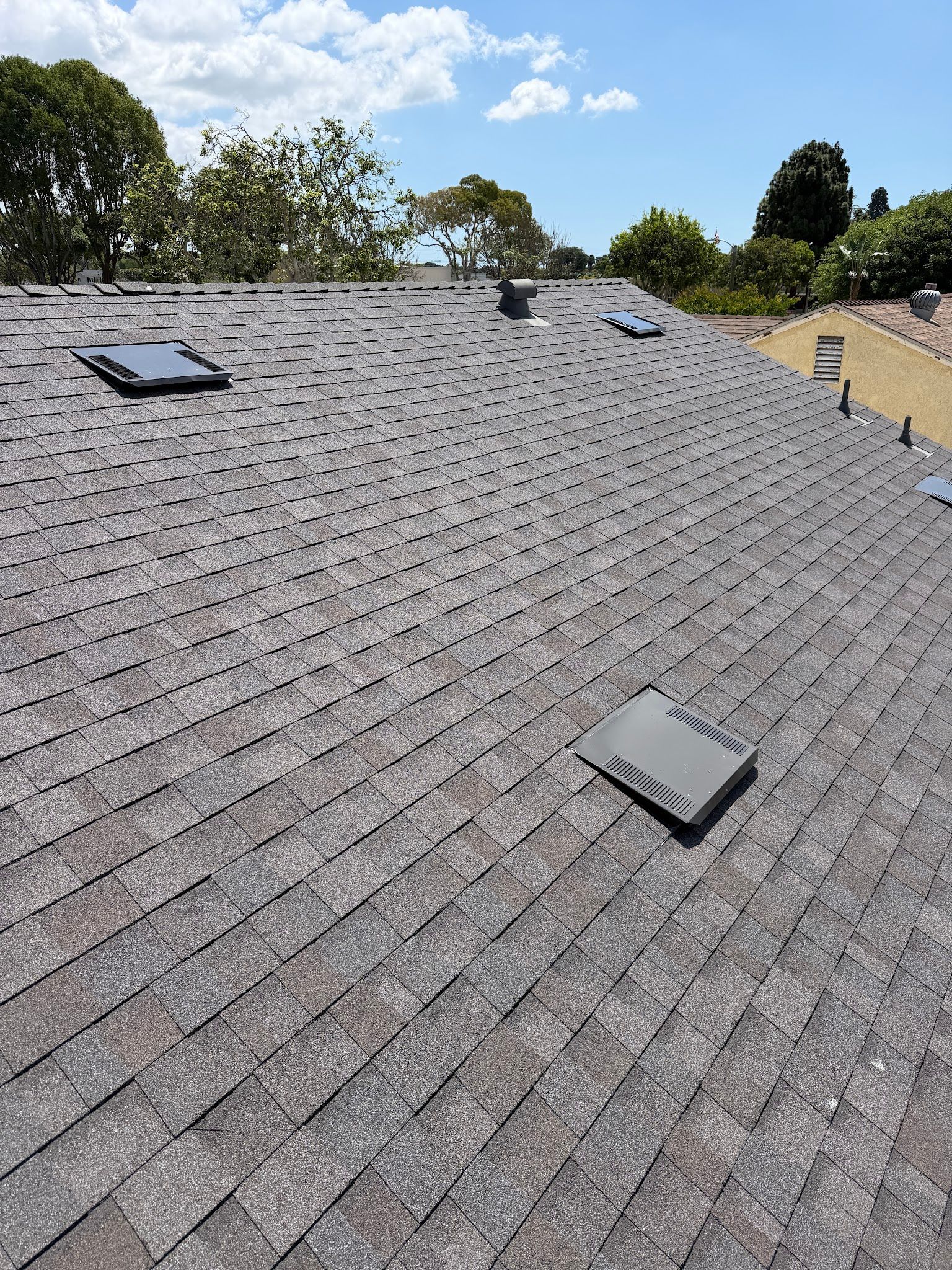 Gray shingled roof with three skylights under a blue sky and trees in the background