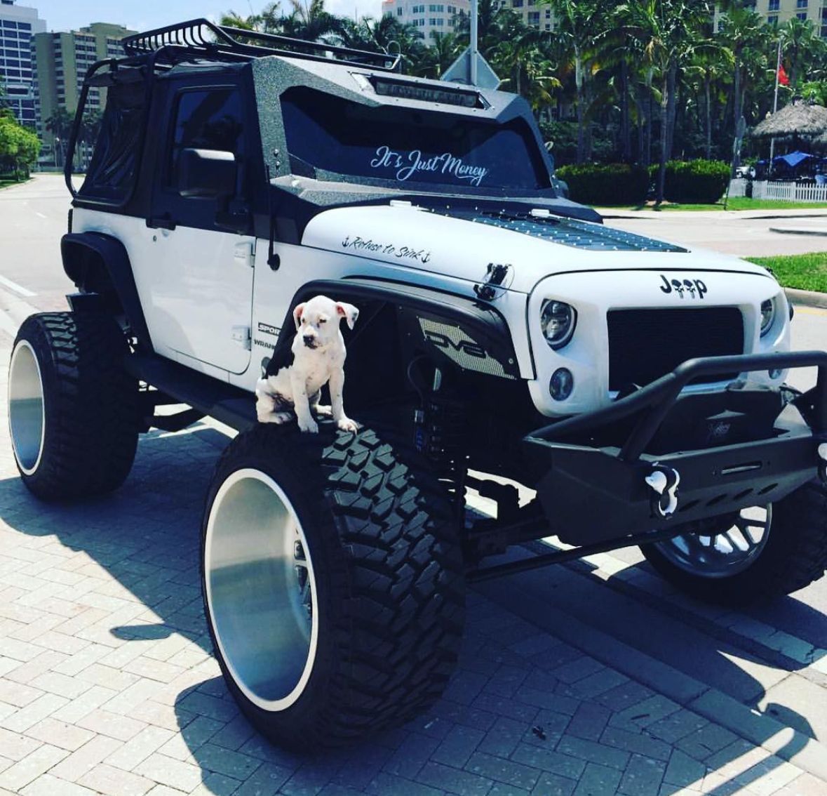 A white jeep with a puppy on the front bumper