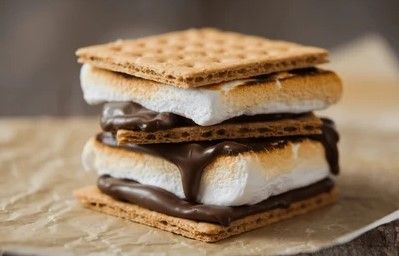 The Best S'more sandwich: graham cracker, toasted marshmallow, chocolate. Get it at GamGams Booth