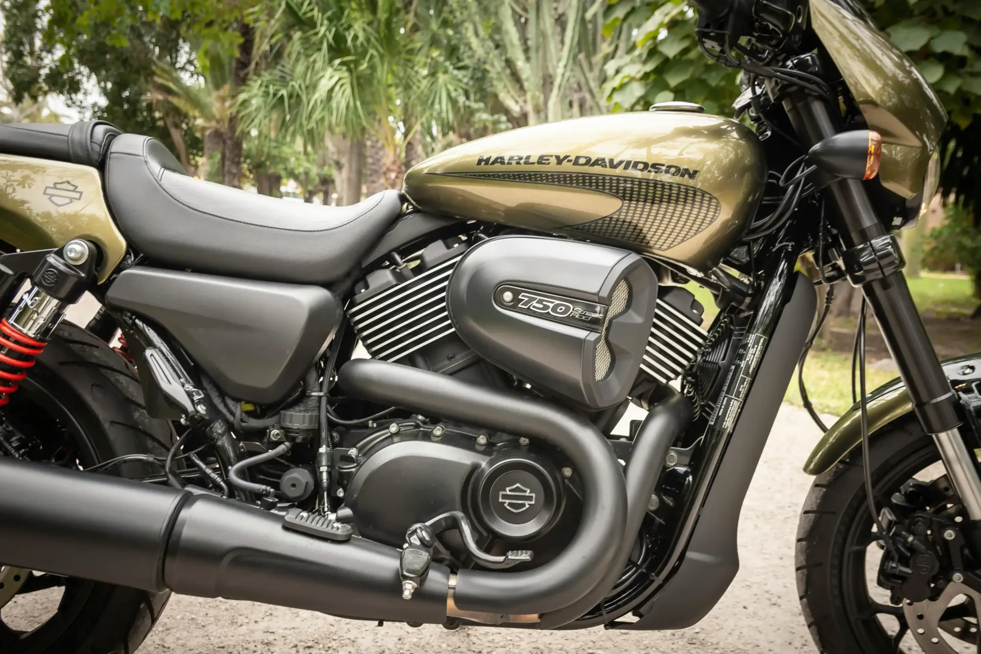 Black and olive green Harley-Davidson motorcycle parked outdoors with a black seat and exhaust.