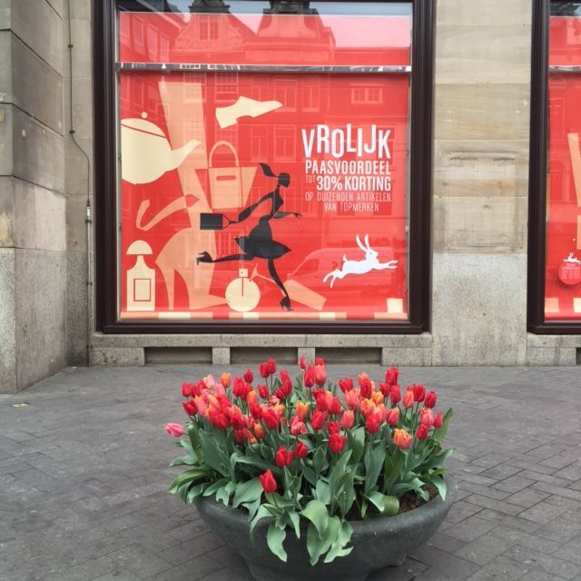 Window display with red background, a black silhouette of a woman, and a pot of tulips.