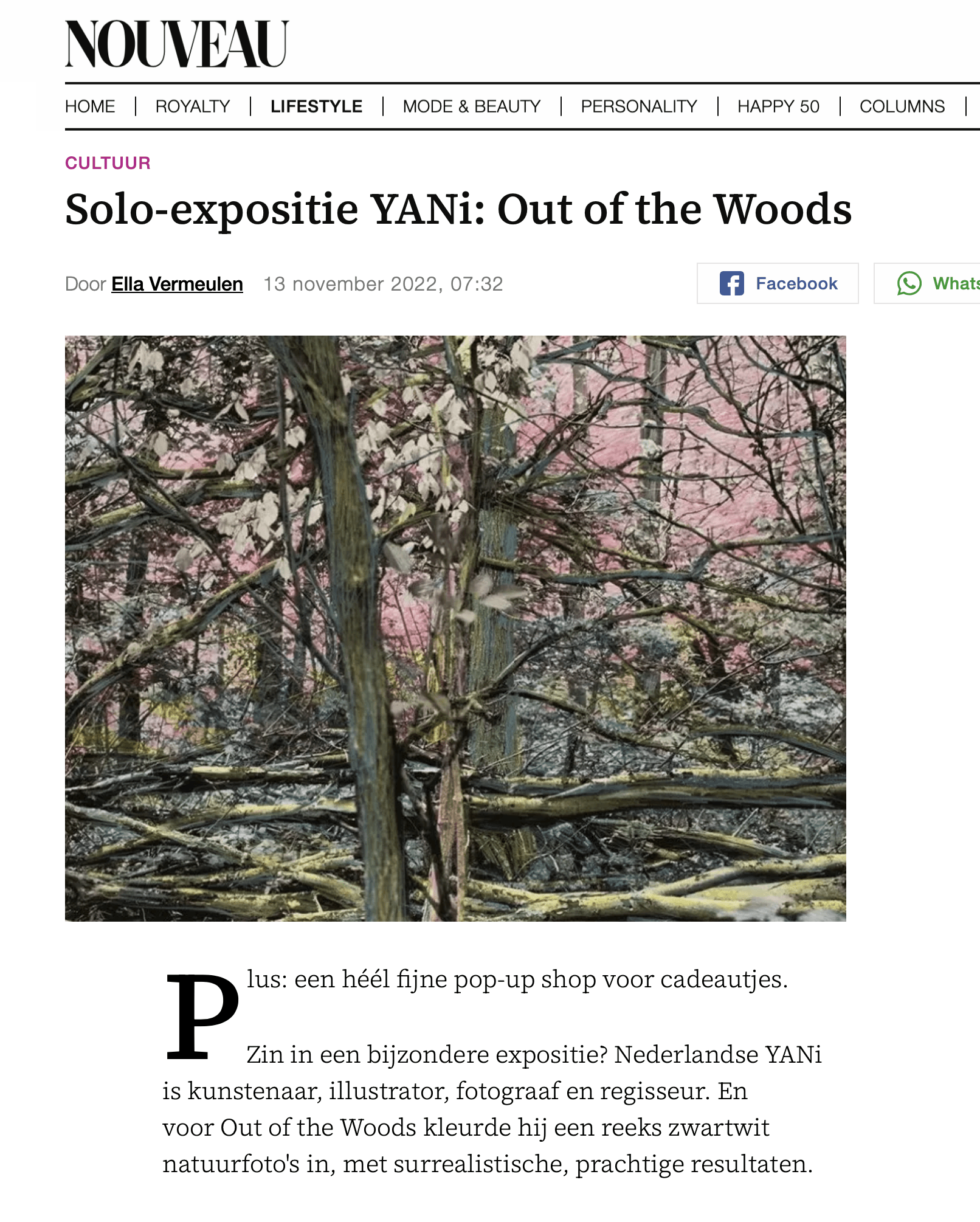 Article about YANI's 